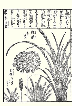 photo69.jpg