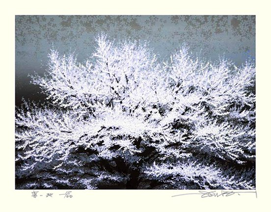 photo14.jpg