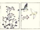 photo6_small.jpg