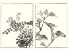 photo15_small.jpg