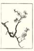 photo32_small.jpg