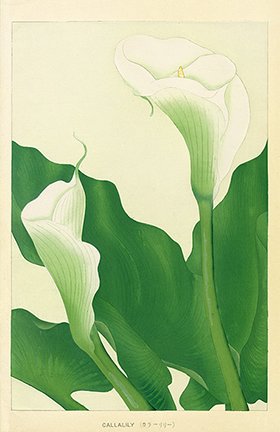 photo2.jpg