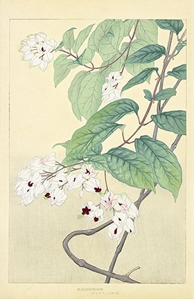 photo9.jpg