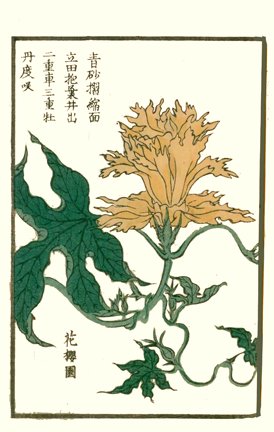 photo21.jpg