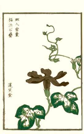 photo27.jpg