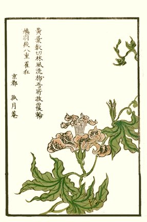photo40.jpg