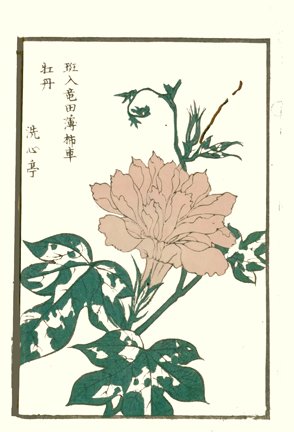 photo8.jpg
