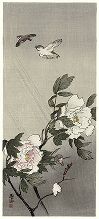 photo12.jpg