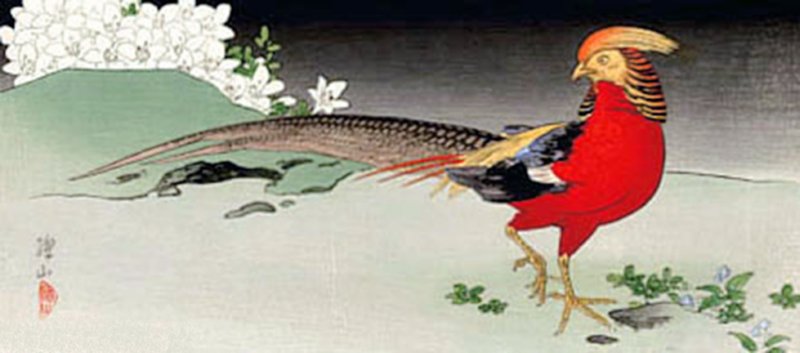 photo19.jpg