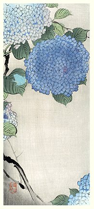 photo2.jpg