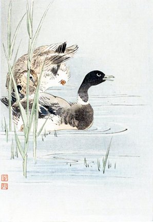 photo24.jpg