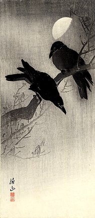 photo29.jpg