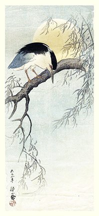 photo34.jpg