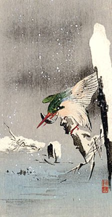 photo35.jpg