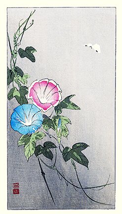 photo4.jpg