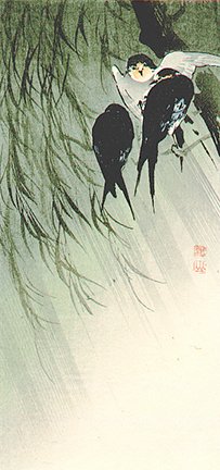 photo41.jpg