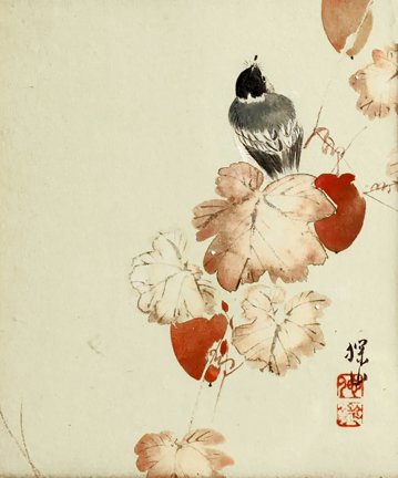 photo47.jpg