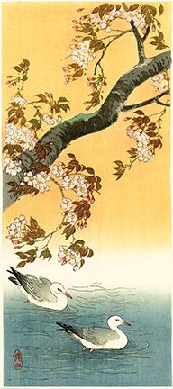 photo12.jpg