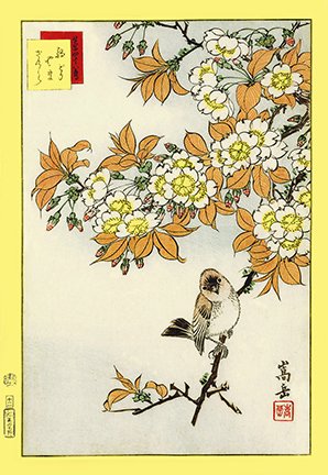 photo12.jpg