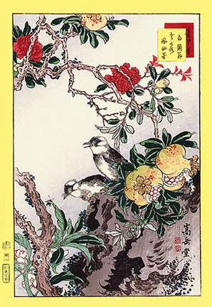 photo21.jpg