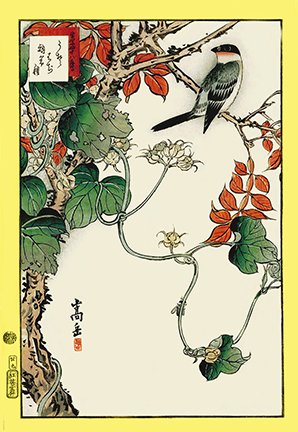 photo29.jpg