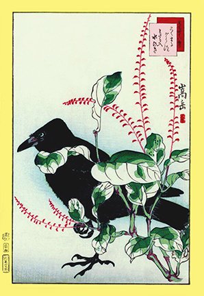 photo34.jpg