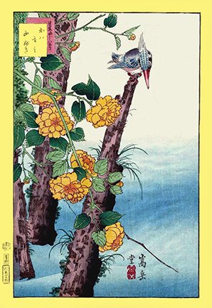 photo4.jpg