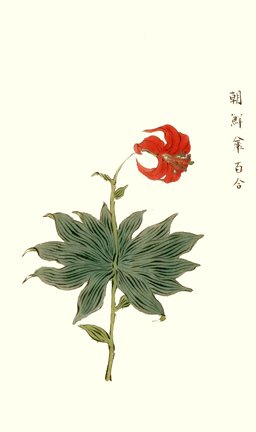 photo13.jpg