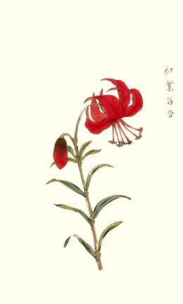 photo16.jpg