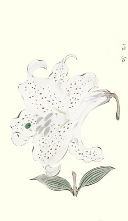 photo29.jpg