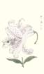 photo33_small.jpg