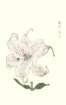 photo36_small.jpg