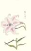 photo50_small.jpg