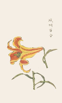 photo53.jpg
