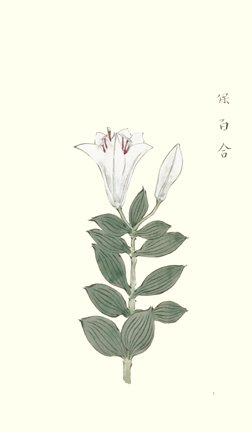 photo65.jpg