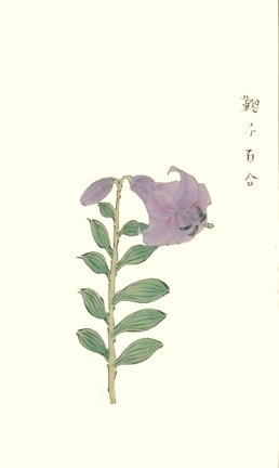 photo67.jpg