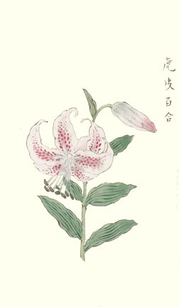 photo68.jpg