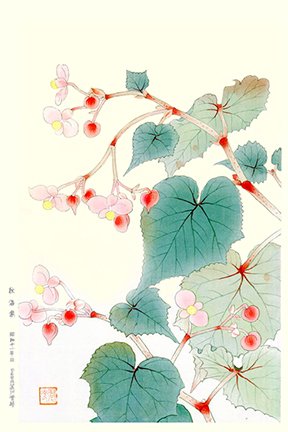 photo30.jpg