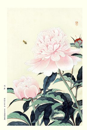 photo33.jpg