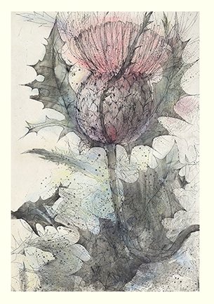 photo37.jpg