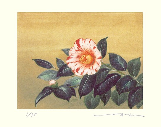 photo10.jpg