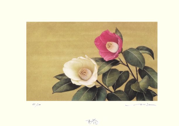 photo11.jpg