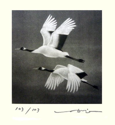 photo40.jpg