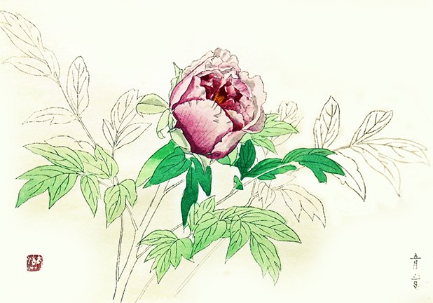 photo5.jpg