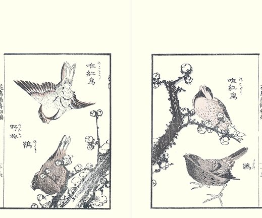 photo9.jpg