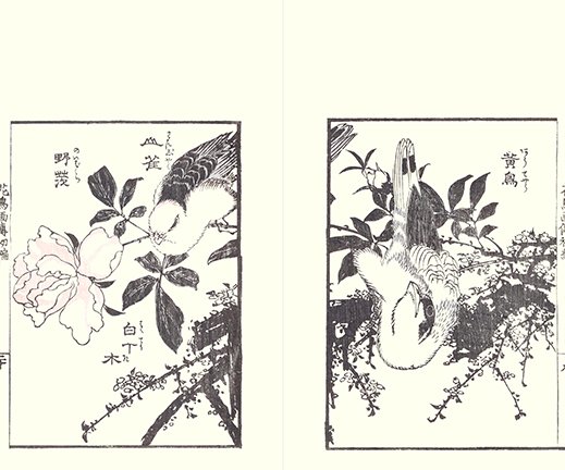 photo20.jpg