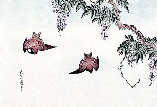 photo11.jpg