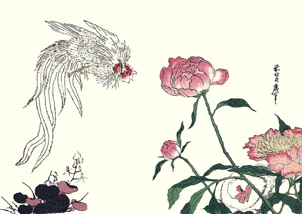 photo22.jpg
