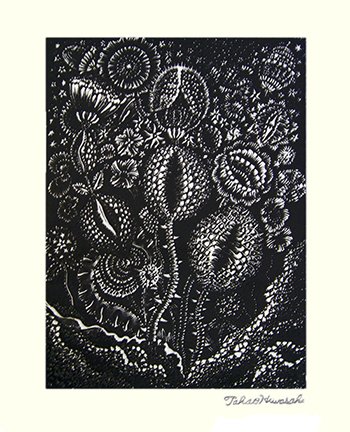 photo9.jpg