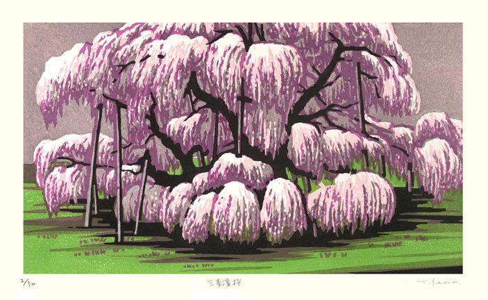 photo20.jpg